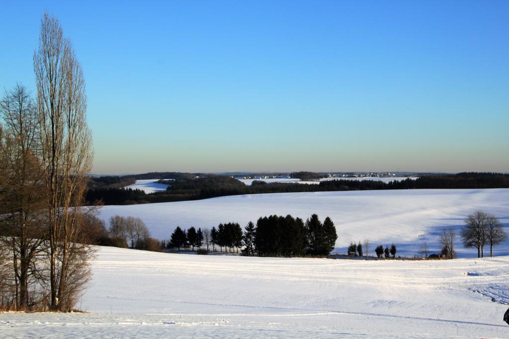 Ferienwohnungen Eifelblick Lutzerath Kültér fotó