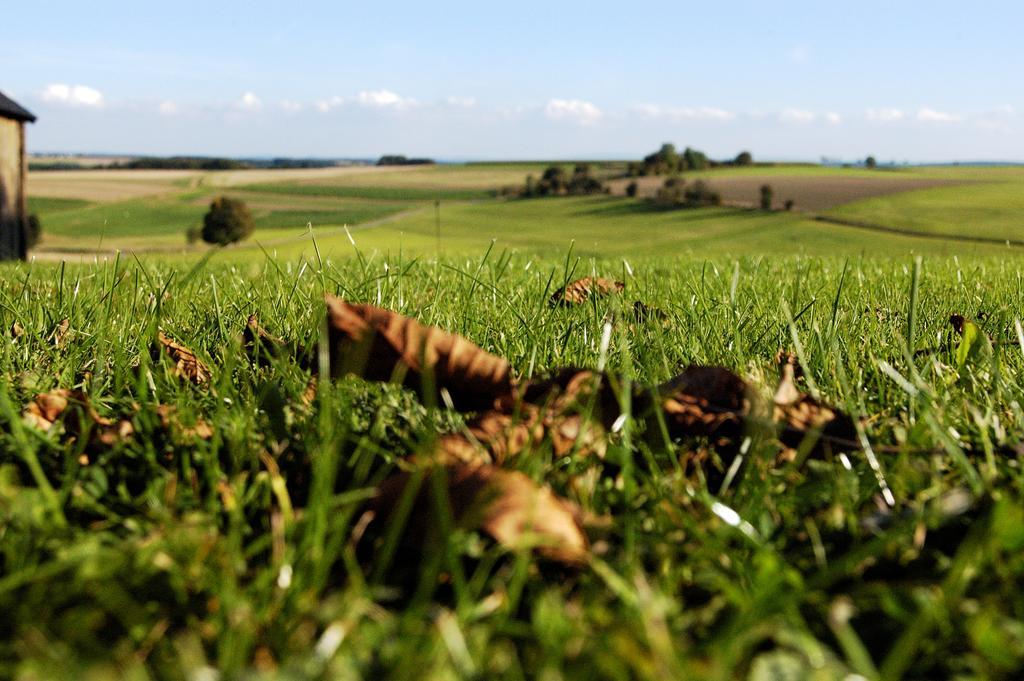 Ferienwohnungen Eifelblick Lutzerath Kültér fotó